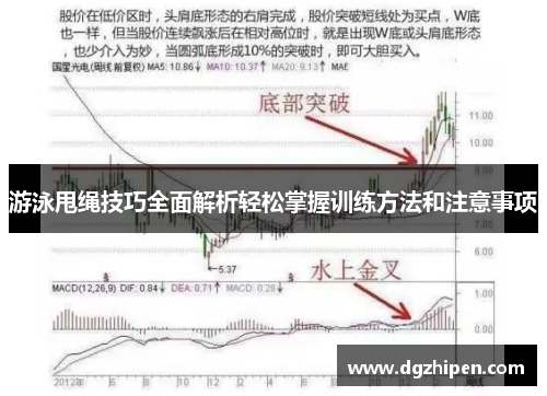 游泳甩绳技巧全面解析轻松掌握训练方法和注意事项